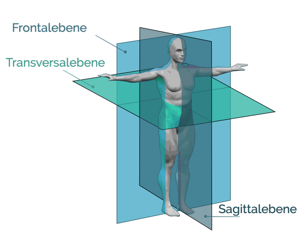 Bewegungsebenen, gravitycoach, Kabelzug 2.0