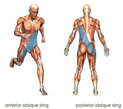 Oblique Sling, Kabelzug 2.0, gravitycoach, Core