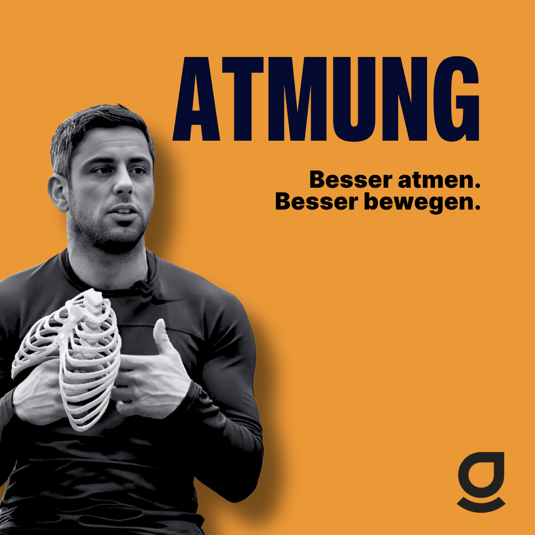 Produkt Cover Power of Breath 3.0. Alles über Atmung