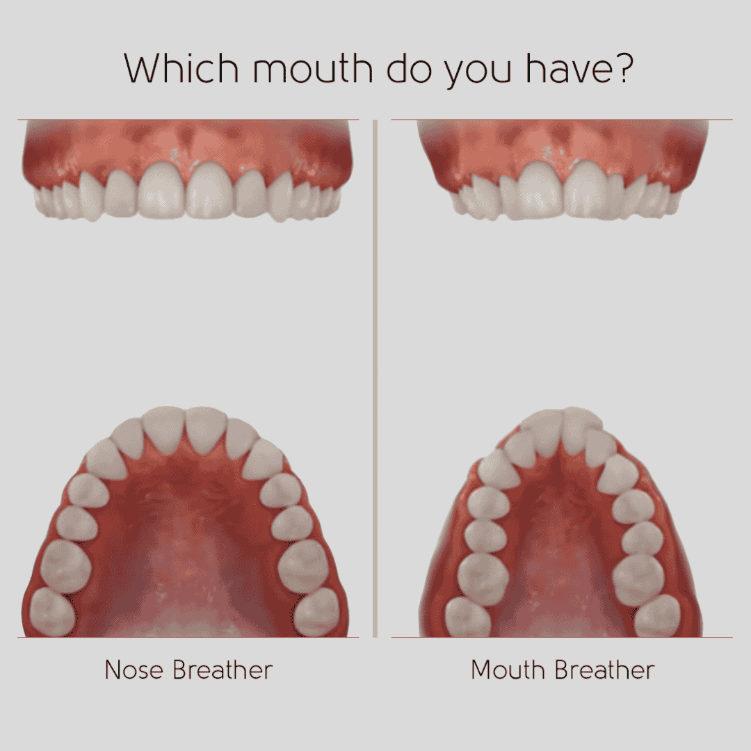 Power of Breath Nasenmund