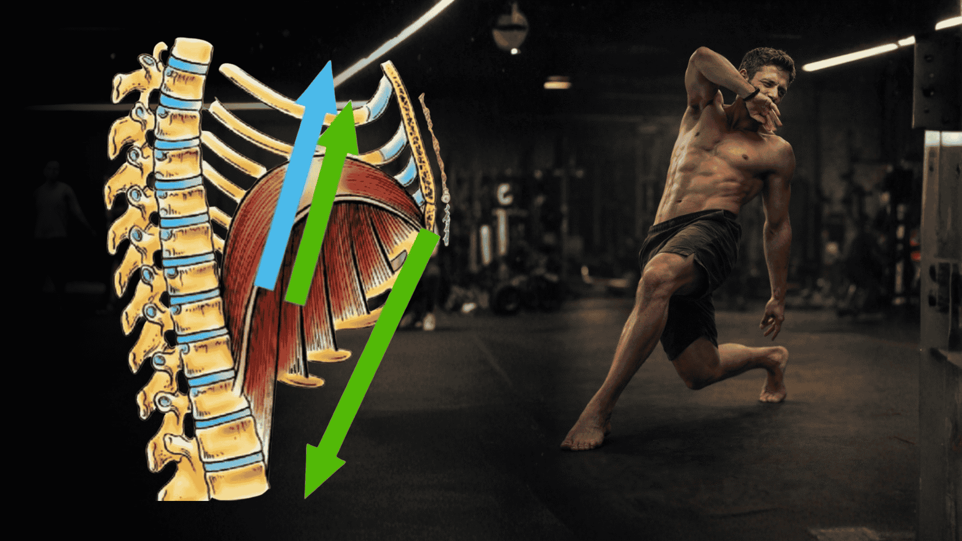 Zwerchfell und Rotation